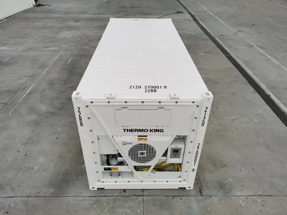 20ft-shipping-container-domestic-reefer-white-new-top-roof-back